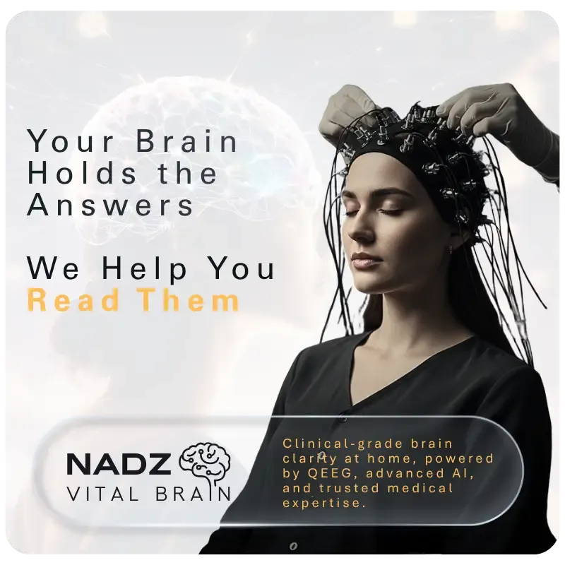 EEG Brain - NADZ Vital Brain